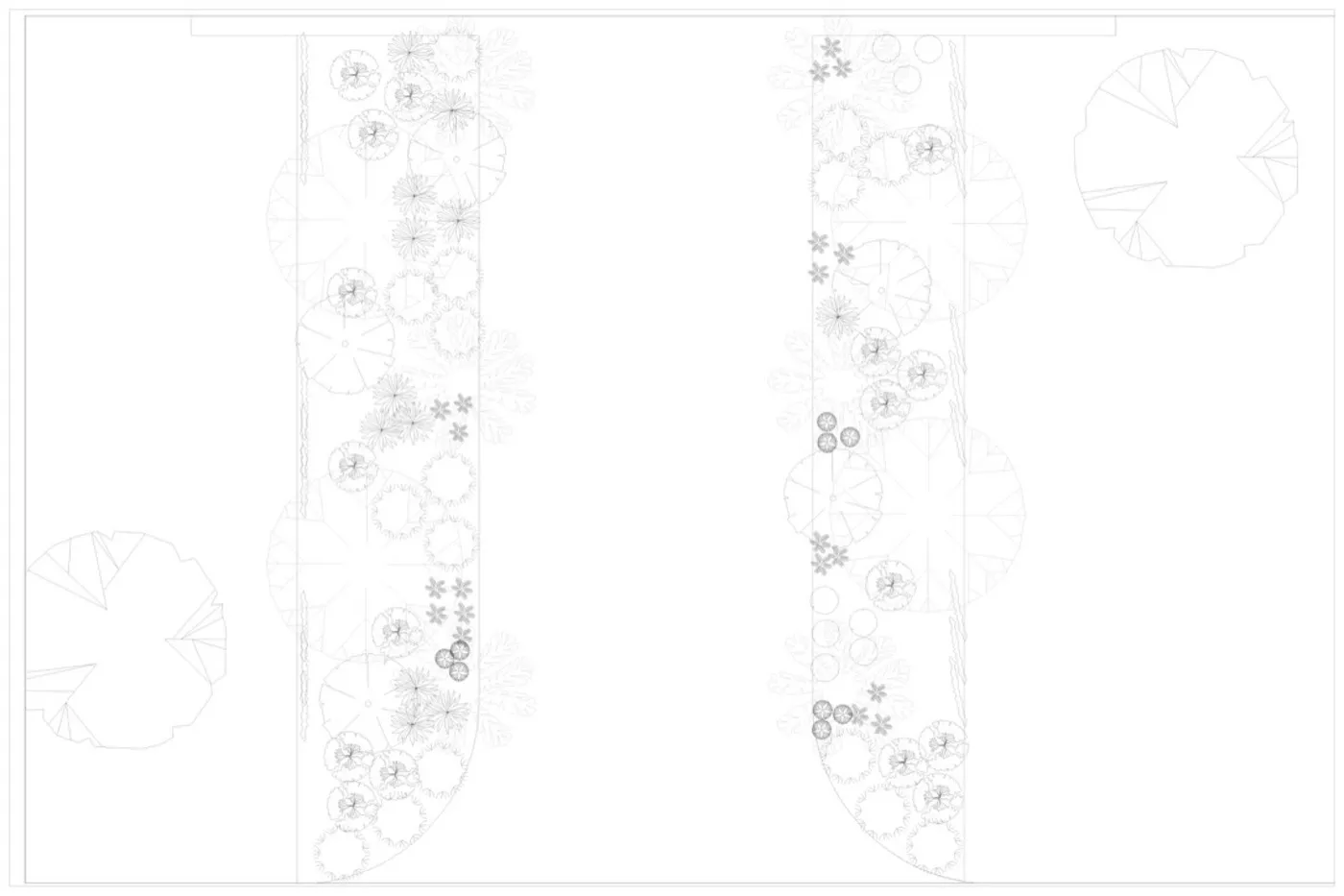 Planting Plan — Design Studio