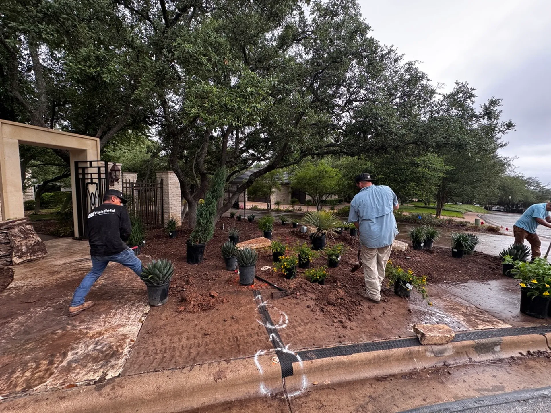 Fairfield Innovations team installing native plants at a client property in Austin, TX