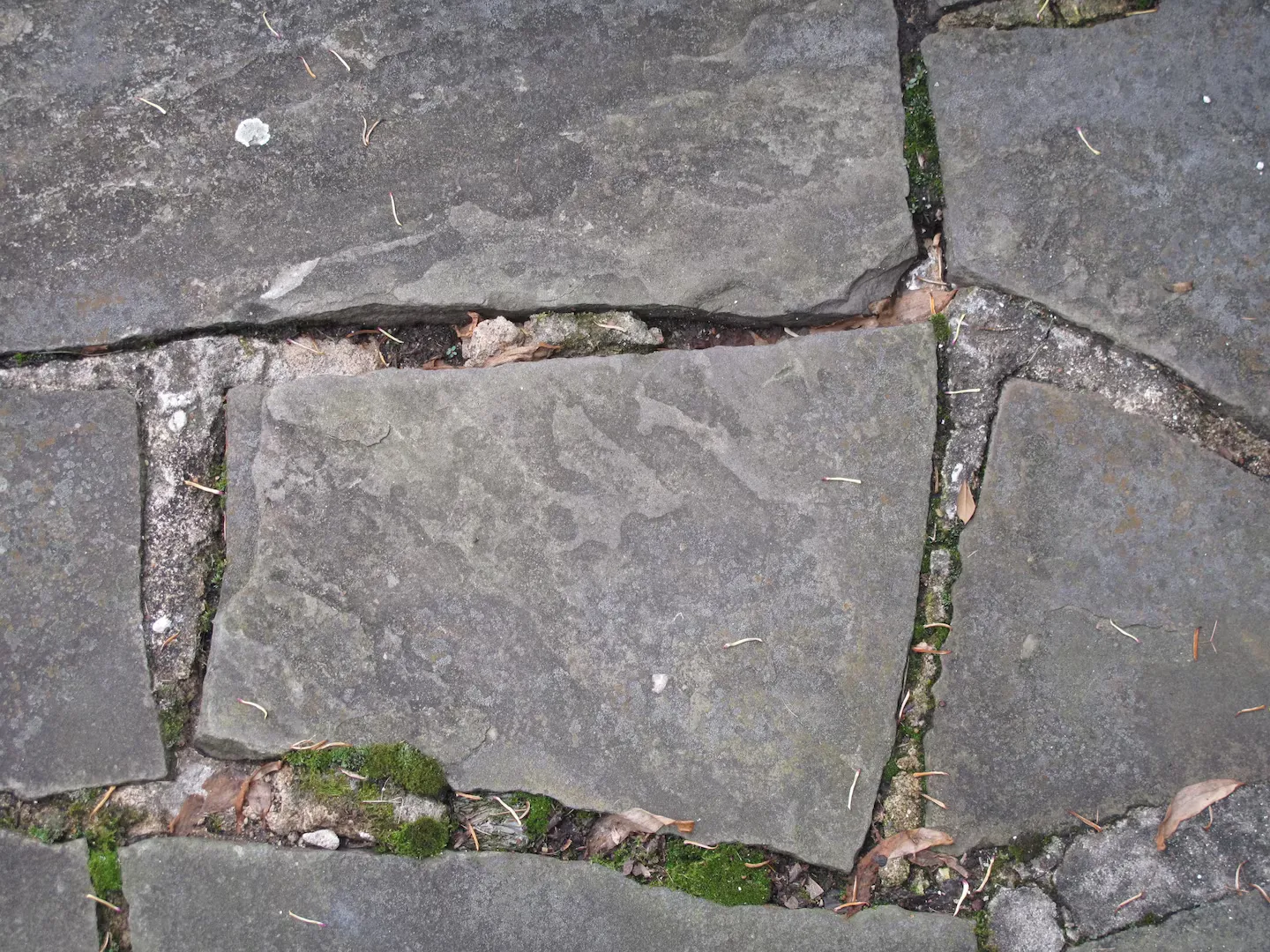 Flagstone repair and restoration work on an Austin patio