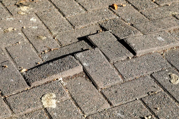 Flagstone and paver restoration