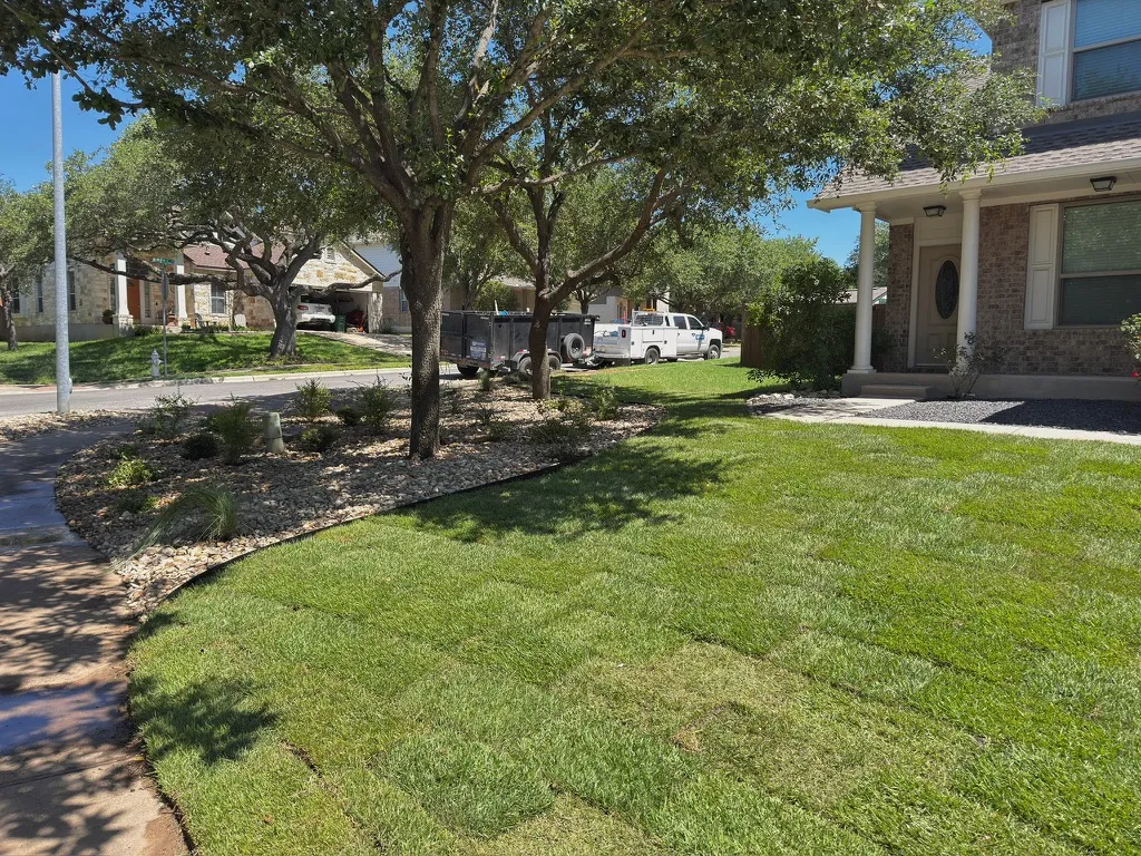 Fresh sod installation — West Lake Hills