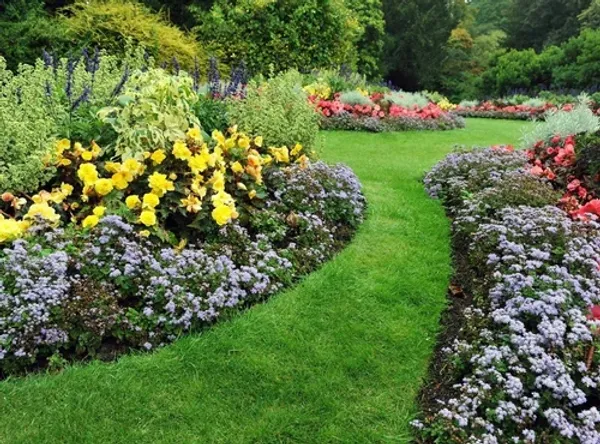 Softscaping