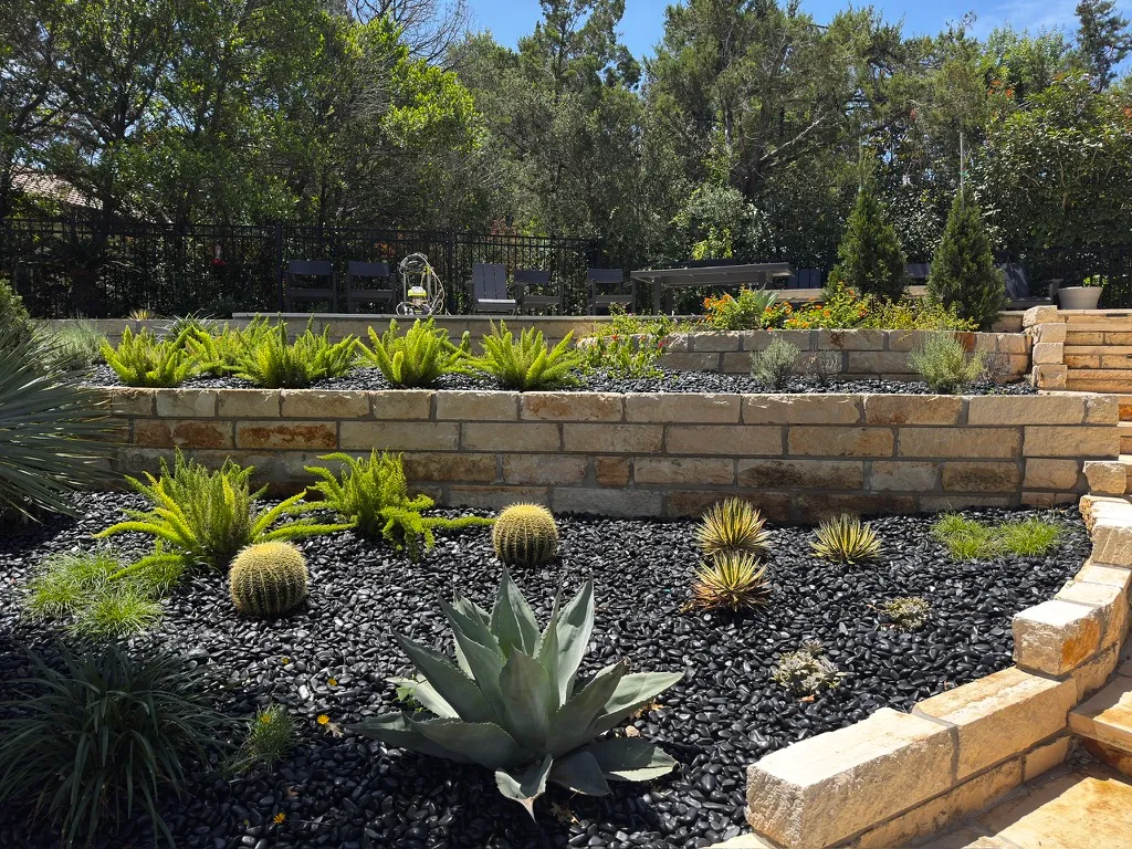 Newly installed landscaping in year one — young plantings just beginning to establish