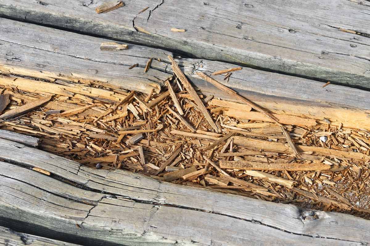 Deck splintering from drying out over time