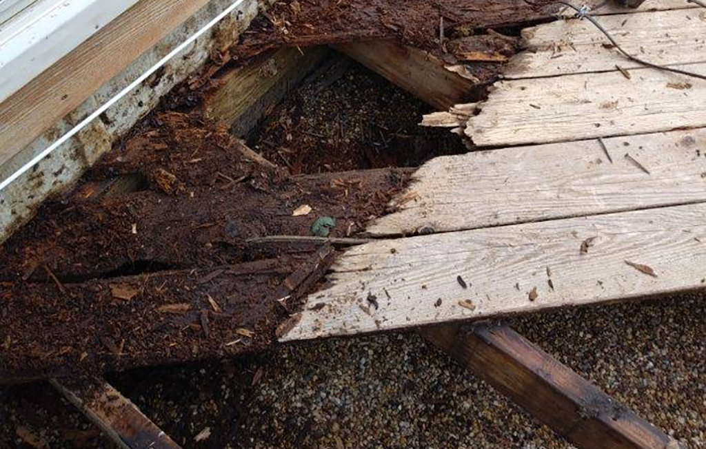 Rotting deckboards near house