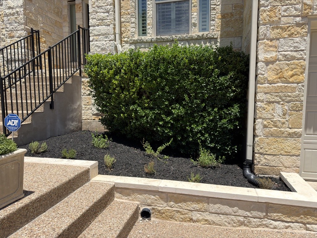 The entry bed, with the downspout tied into a drain line